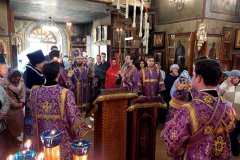 Епископ Раменский Алексий возглавил Всенощное бдение в храме Рождества Христова в Черневе 21 марта 2026